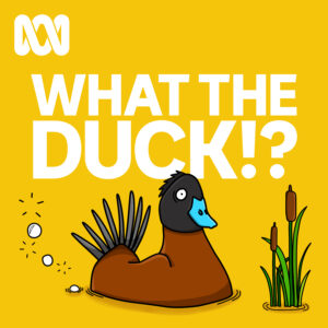 86e20df1f508-What_The_Duck_SQ_V1